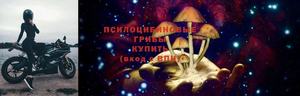 ПСИЛОЦИБИНОВЫЕ ГРИБЫ Бронницы