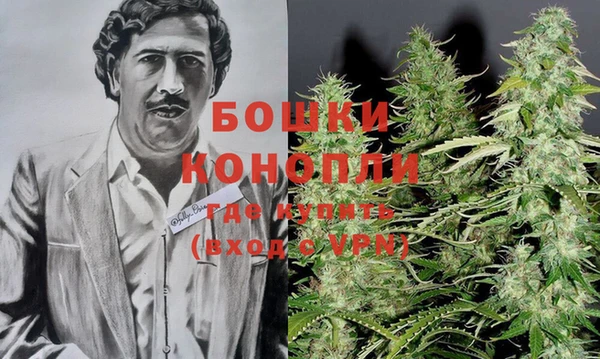 ПСИЛОЦИБИНОВЫЕ ГРИБЫ Бронницы