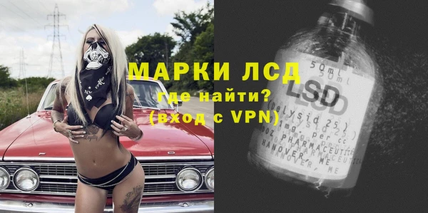 spice Верея