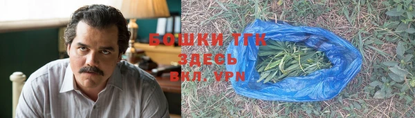 Альфа ПВП Бородино