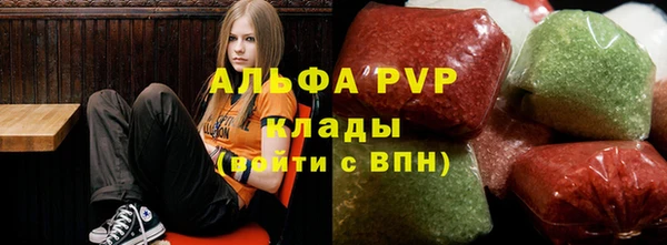 Альфа ПВП Бородино