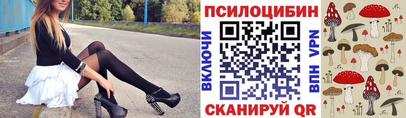 Псилоцибиновые грибы Psilocybine cubensis  Волгореченск 